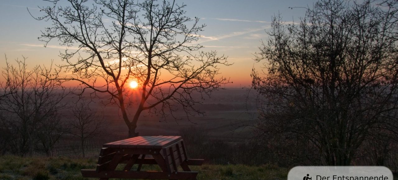 #12Selzbogen: Sonnenaufgang, Jubiläumswald im Selzer Jubiläumswald im Selzer Gottesgarten (Januar am Selzbogen)