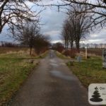 Amiche: Skulptur "Fern ab" am Radweg von Selzen-Mommenheim (ehemalige Bahnstrecke Alzey-Bodenheim)