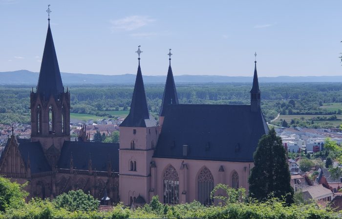 Landskron - Katharinenkirche Oppenheim (Oppo Reno 2, Vollbild, 2x, 2,46 MB)