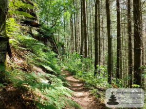 Fußpfad auf dem Felsenwanderweg Rodalben