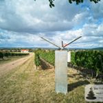 Schussapparat (Knallgerät) zur Vogelabwehr in Weinbergen