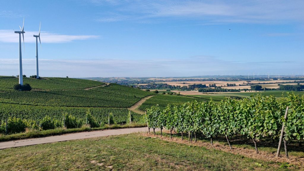 Blick auf das Selztal von der Schönsten Weinsicht 2020 Rheinhessen