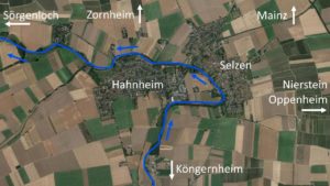 Der Selzbogen: Die Selz bei Hahnheim/Selzen
