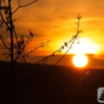 Sonnenaufgang Schönste Weinsicht 2020 Rheinhessen (Zornheim)