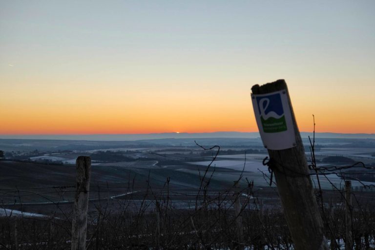 Sonnenaufgang an der Hiwweltour Zornheimer Berg