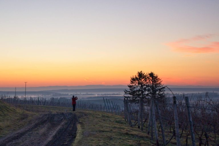 Morgendämmerung über Rheinhessen bei Selzen