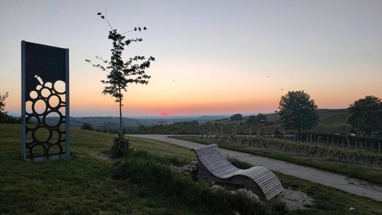 Schönste Weinsicht 2020 Rheinhessen mit Sonnenaufgang über Frankfurt