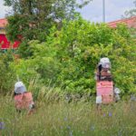 Feuerwehrleute von Uelversheim-Weinolsheim