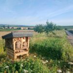 Insektenhotel Deluxe bei Selzen, erbaut am 7. August 2021 in einer Aktion der FWG Selzen