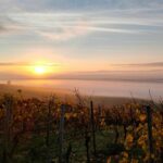 Sonnenaufgang über dem Nebel im herbstlichen Selztal an der Selztstellung