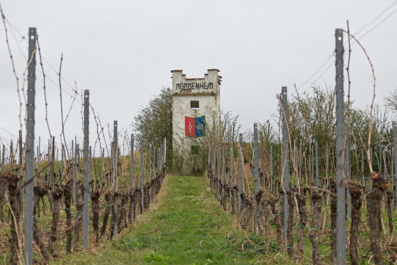 Wingertsturm auf dem Nazarienberg von Mommenheim