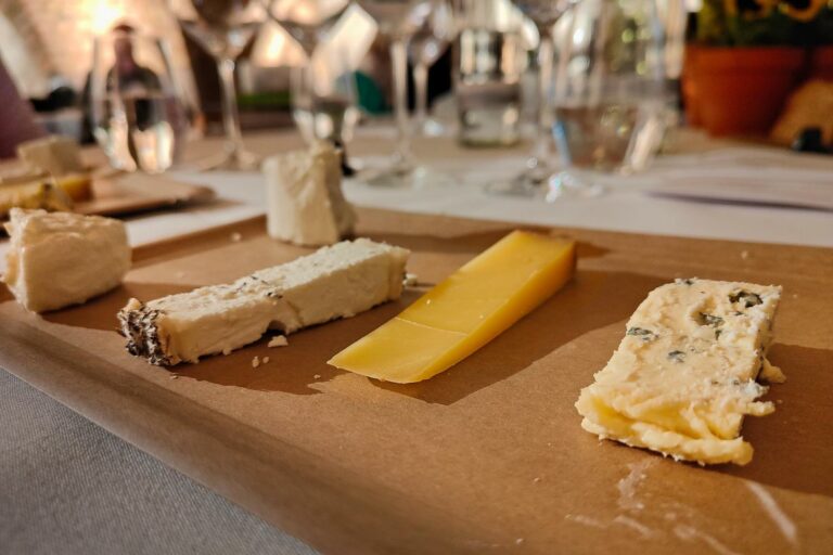 Käse und Wein - Vinocamp Rheinhessen vom 1. - 3. April 2022