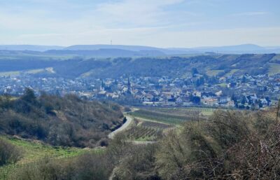 Ausblick auf Guldental-Heddesheim