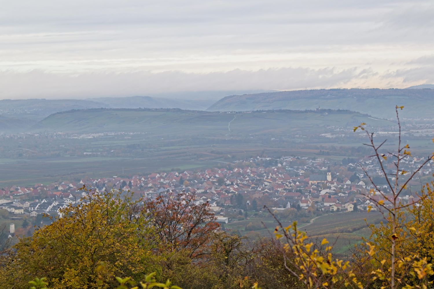 Herbstliche Aussicht Jakobsberg auf Ockenheim, Rochusberg und Rheingau