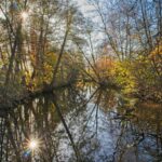 Die Mümling in Höchst im Odenwald in der Herbstsonne
