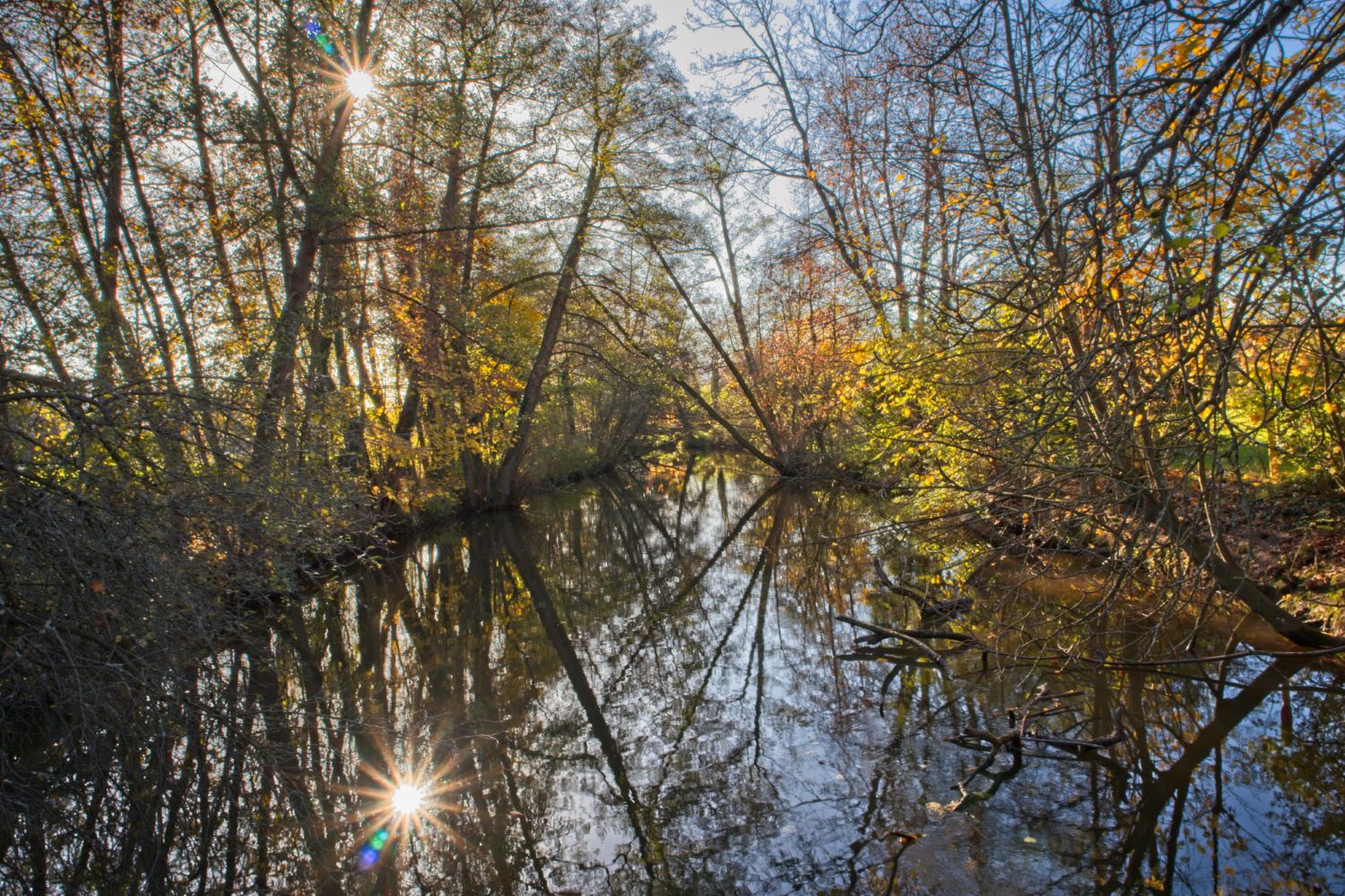 Die Mümling in Höchst im Odenwald in der Herbstsonne
