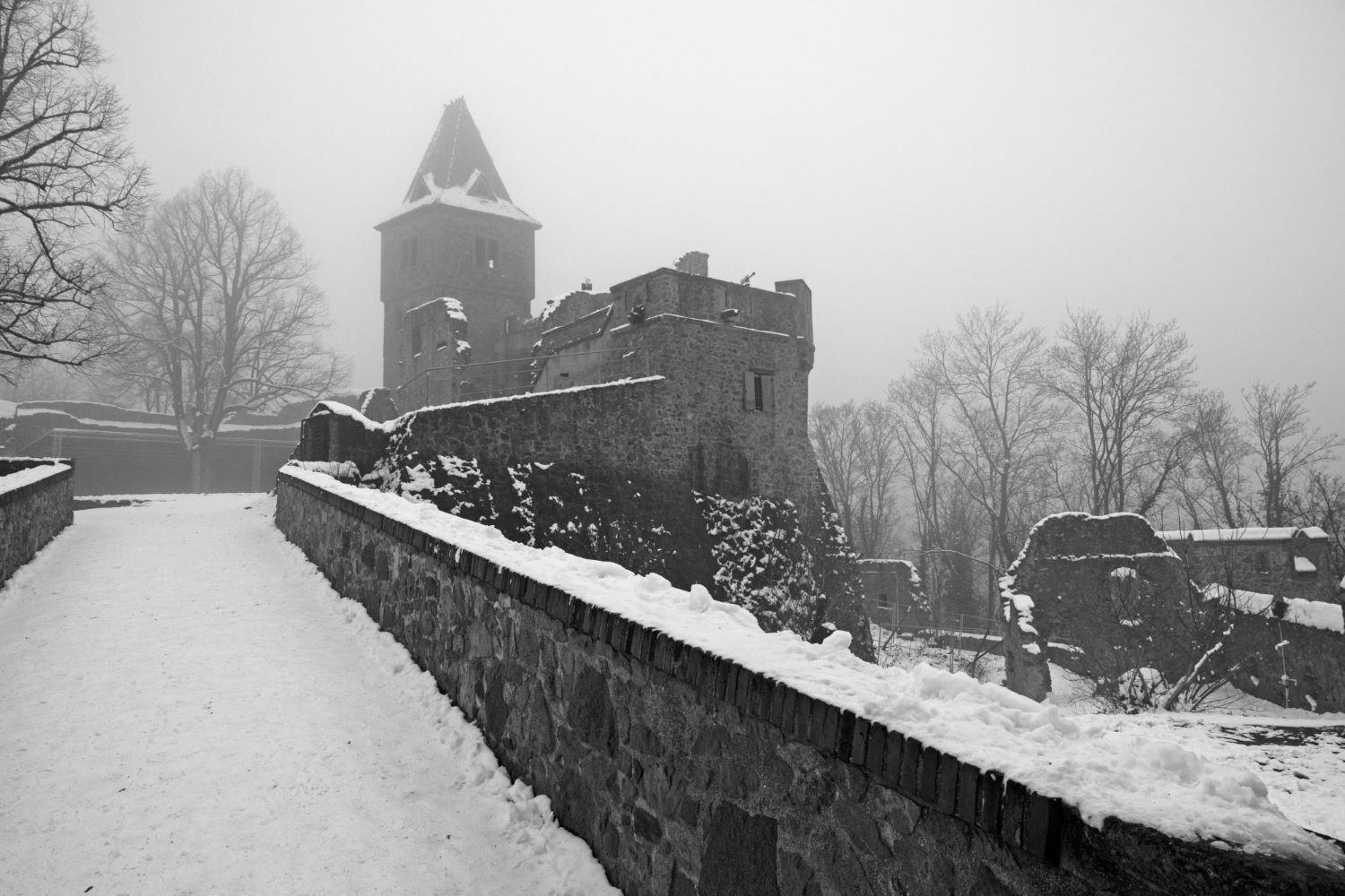 Burg Frankenstein bei Darmstadt, am Rand des Odenwalds, bei winterlicher Nebelstimmung