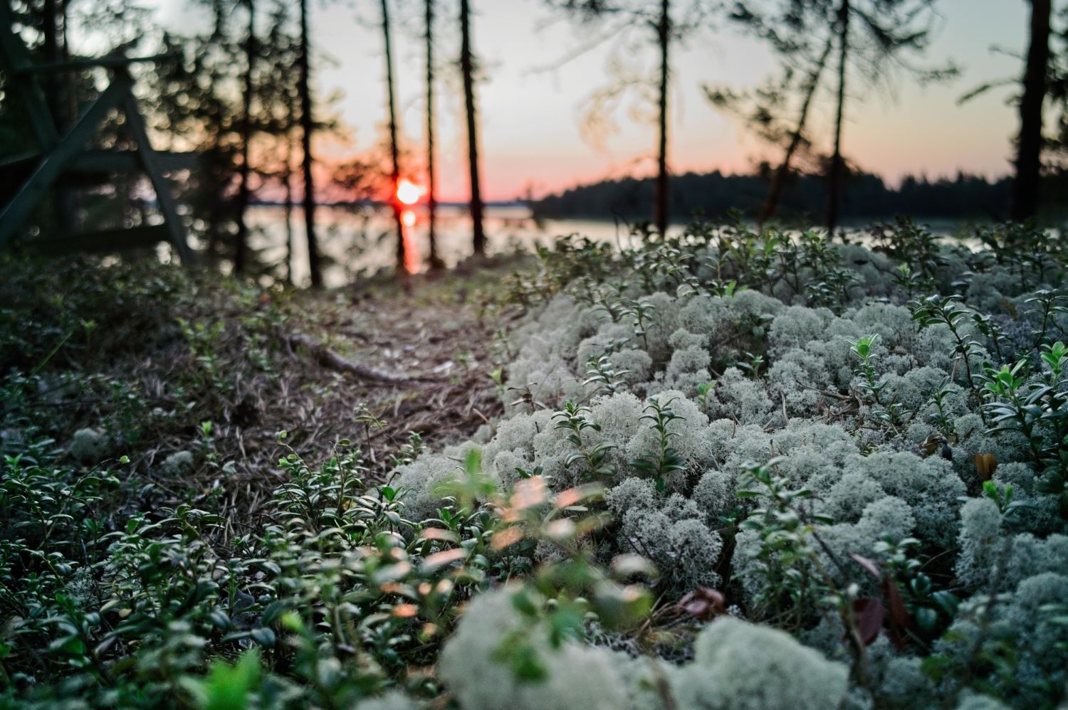 Sonnenuntergang in Finnland (Shot with DxO ONE), CC-Lizenz CC-BY-SA 4.0 von Achim Meurer, bearbeitet von Frank Hamm