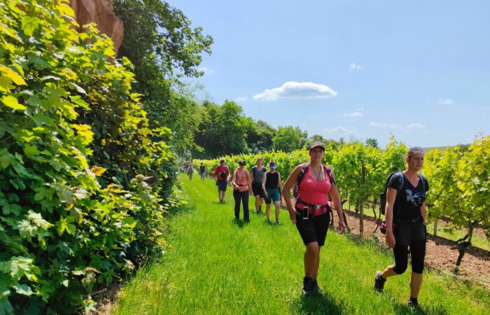 Verborgener alter Steinbruch abseits der Hiwweltour Aulheimer Tal beim 10. Bloggerwandern Rheinland-Pfalz