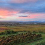 Weingut Gottwald - Ausblick von Straußwirtschaft über Weinberge auf Bodenheim und Taunus