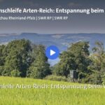 SWR Landesschau RLP - Traumschleife Arten-Reich: Entspannung beim Wandern (Quelle: Screenshot)