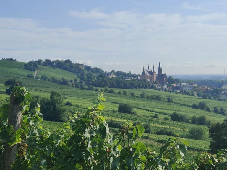 Katharinenkirche Oppenheim - Rheinterrassen-Wanderung Oppenheim