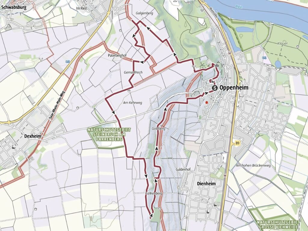 Rheinterrassen-Wanderung Oppenheim mit Start und Ende an der Tourist-Info der Stadt Oppenheim (Screenshot Outdooractive)