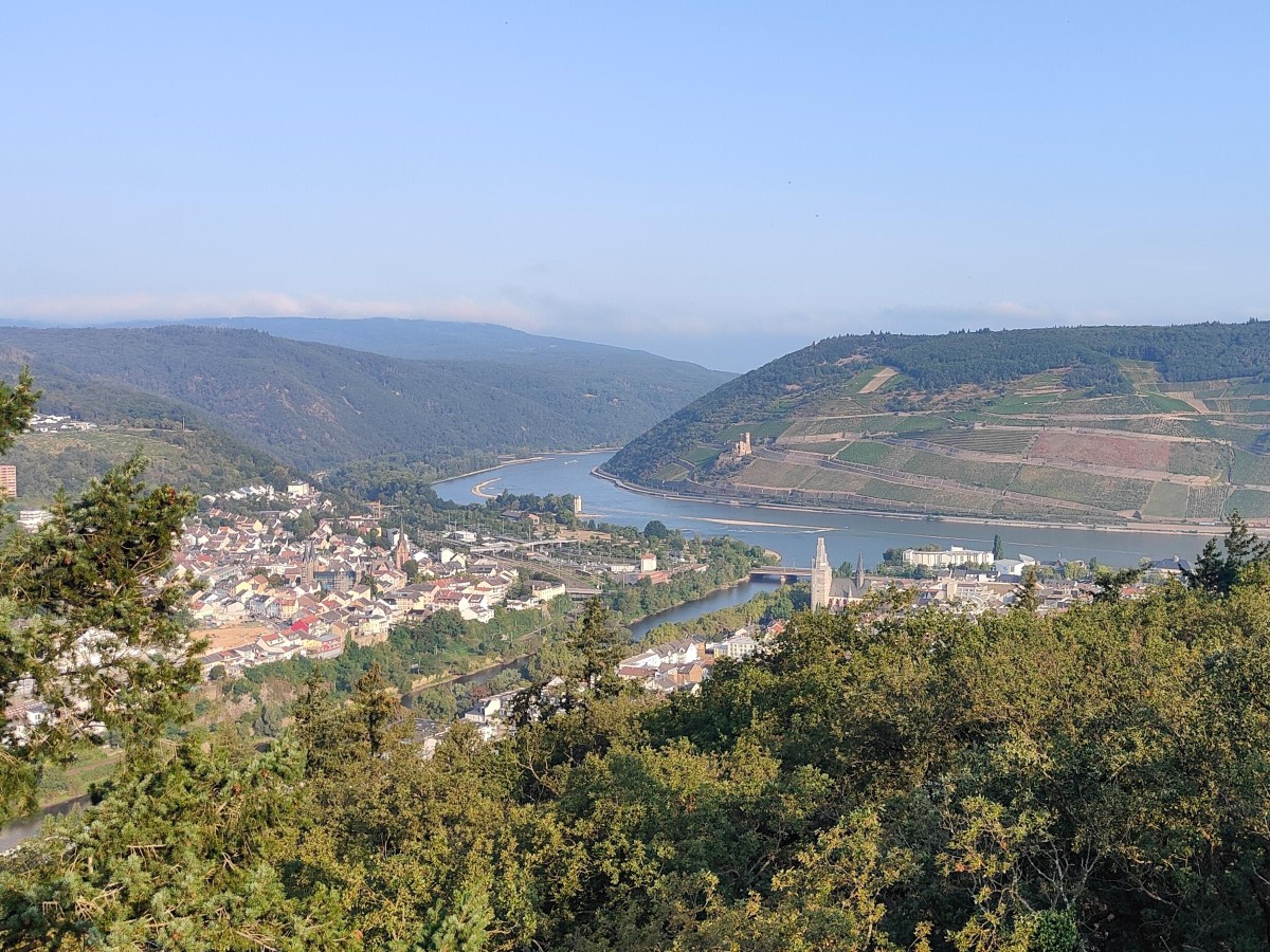 Ausblick Kaiser-Friedrich-Turm auf Nahe, Bingen, Mäuseturm, Rhein, Binger Loch, Rheingau