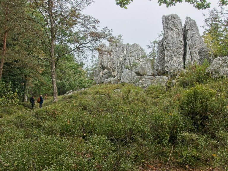 Rundweg Großer Pfahl (Viechtach)