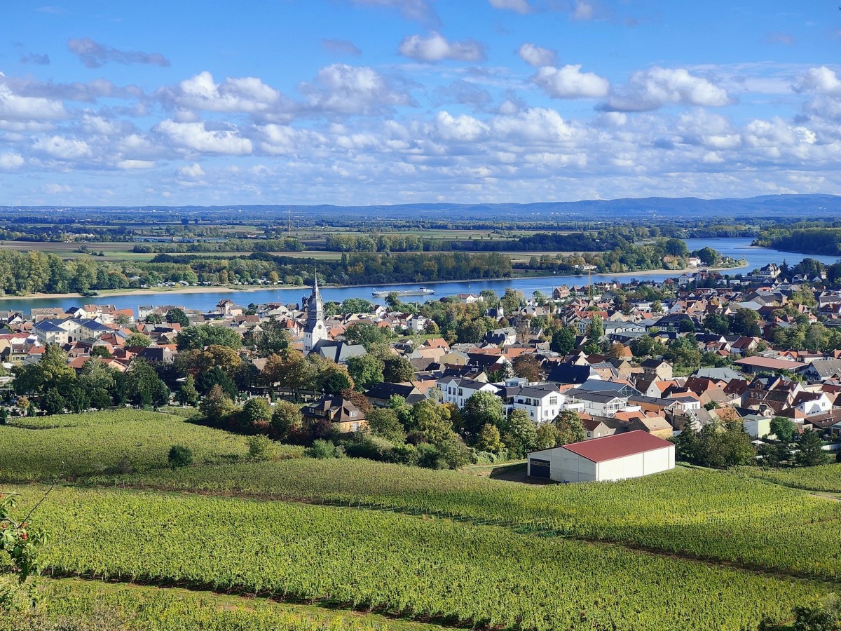 Markt für Demokratie in Nierstein