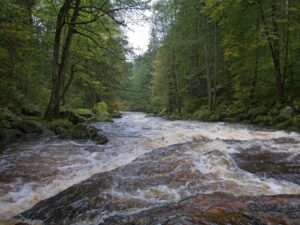 Wandern an der Ilz - Pandurensteig Etappe 7