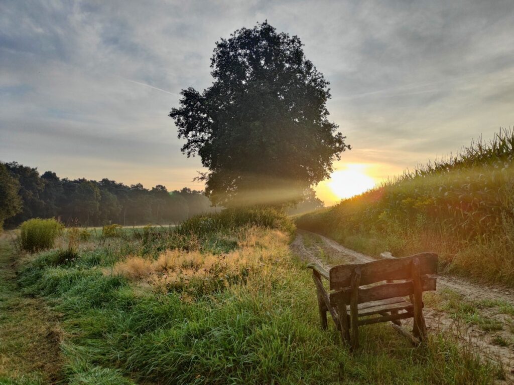 SunriseRun "Morgenglück" - Jammertal-Resort